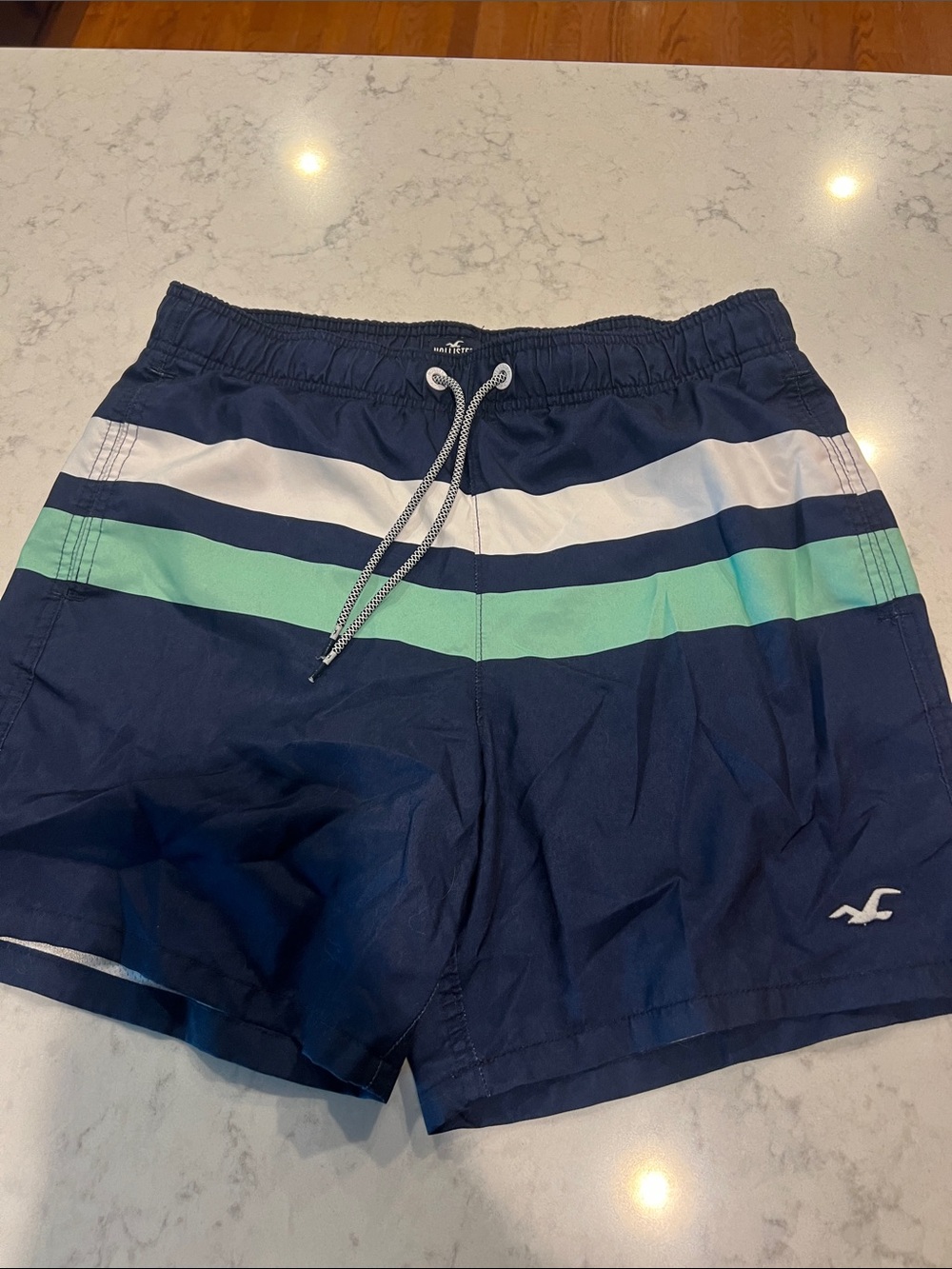 Hollister Navy, White & Mint Green Striped Men’s Swim Trunks